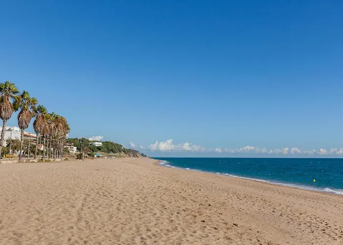 Canet Platja Apartmán *